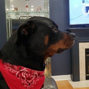 Meet your Posher, Sherry